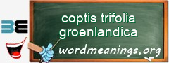 WordMeaning blackboard for coptis trifolia groenlandica